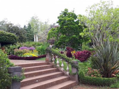 20190412_124844.jpg