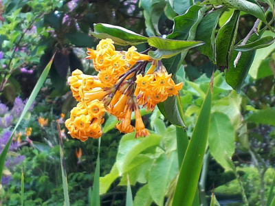 20190412_121135.jpg