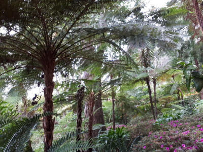 20190412_151004.jpg
