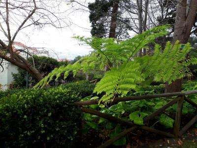 20190412_172700.jpg