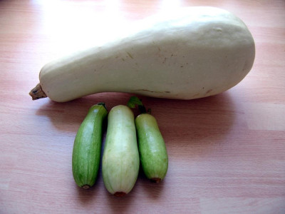 Ernte1014.jpg