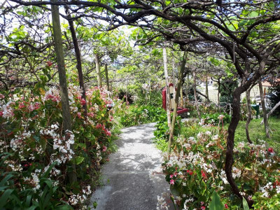 20190416_142327.jpg