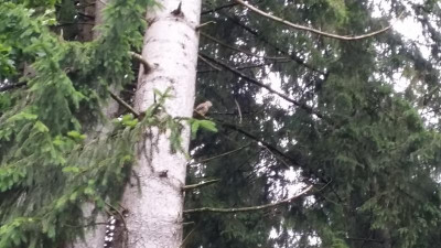 20200611_082040.jpg