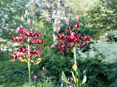 20180530_173425.jpg