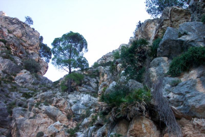 100_4594.JPG