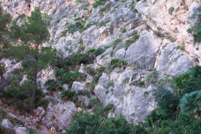 100_4595.JPG