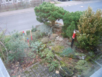 DSCN0488.JPG