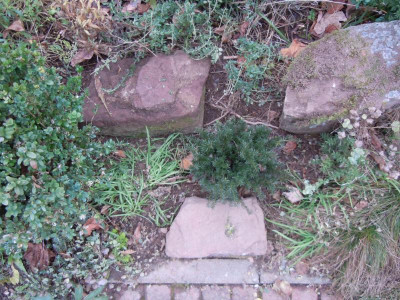DSCN0494.JPG