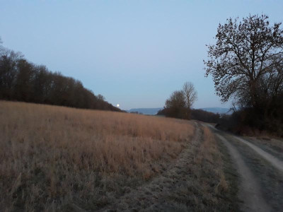 MondüberWellersen.jpg