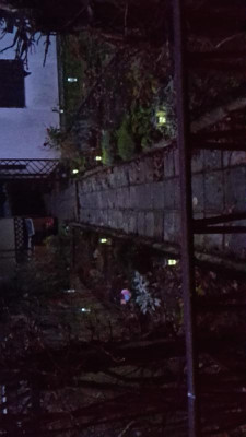 20201202_162555.jpg