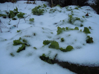 DSCN0496.JPG