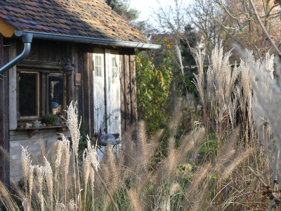 2020-12-05 Gartenimpressionen 3.jpg