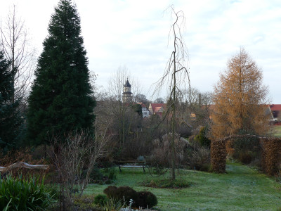 2020-12-05 Gartenimpressionen 5.jpg