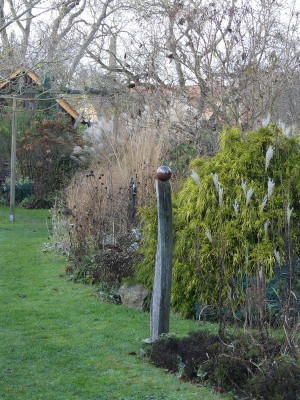 2020-12-05 Gartenimpressionen 10.jpg