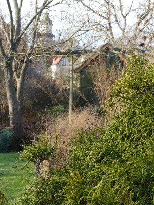 2020-12-05 Gartenimpressionen 13.jpg