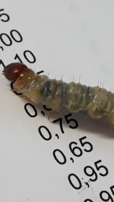 20201207_122159.jpg