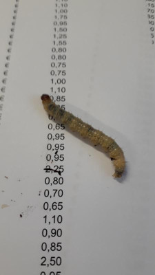 20201207_122152.jpg