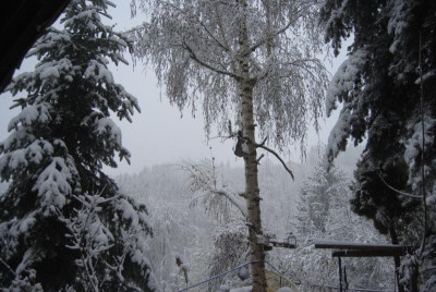 DSC_1879.JPG