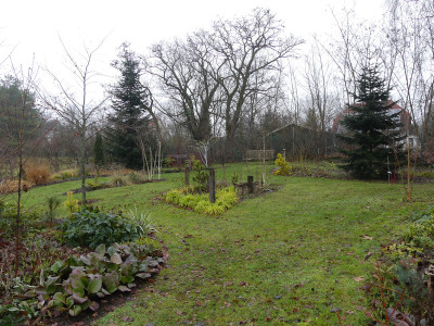 2020-12-13 Birkenhain 2.jpg