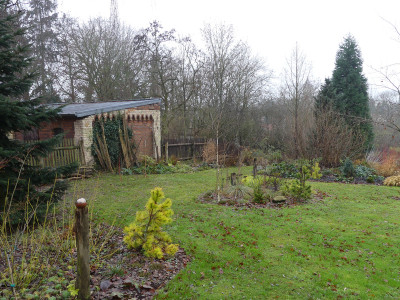 2020-12-13 Birkenhain 3.jpg