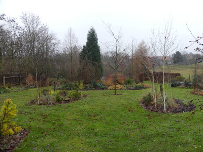 2020-12-13 Birkenhain 4.jpg