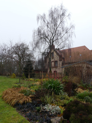 2020-12-13 Birkenhain 6.jpg