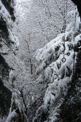 DSC_1876.JPG