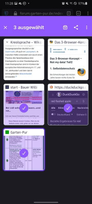Screenshot_20201218-112859_Firefox.jpg