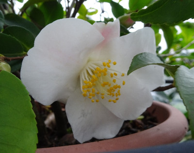 DSC07435.jpg