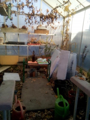 30°C + B +B.jpg