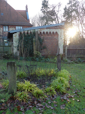 2020-12-19 Birkenhain 4.jpg