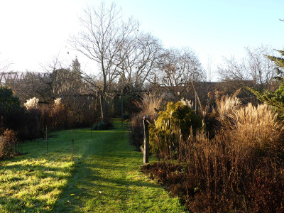 2020-12-19 Garteneinblick 6.jpg