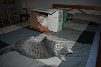 Annäherung 006.JPG