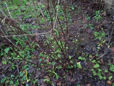 20201222_154045.jpg