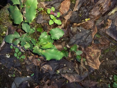 20201222_152925.jpg