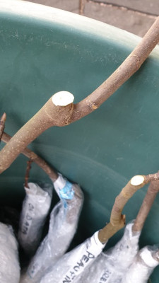 20201222_151028.jpg