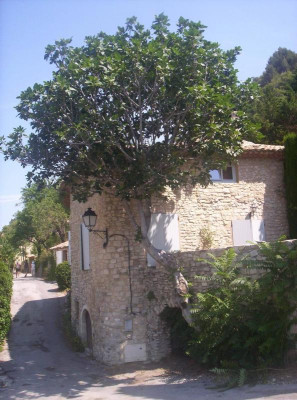 séguret.jpg