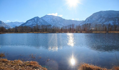 _MG_8861.jpg