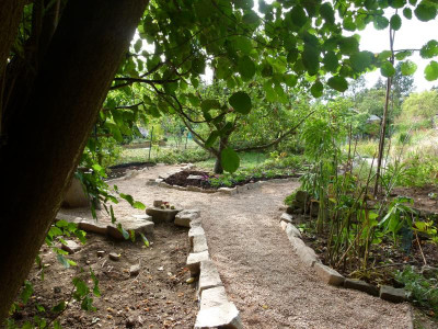 P1130945.JPG