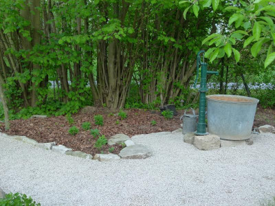 P1140979.JPG