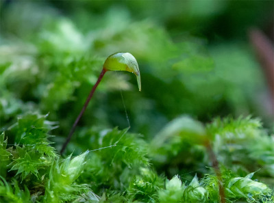 20201228_1.jpg