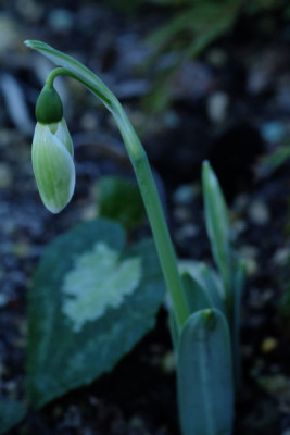 DSCF3402_5114.JPG
