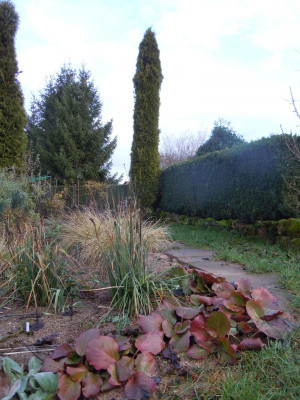 DSCN0528.JPG