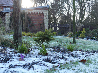2020-12-30 Gartenimpressionen 2.jpg