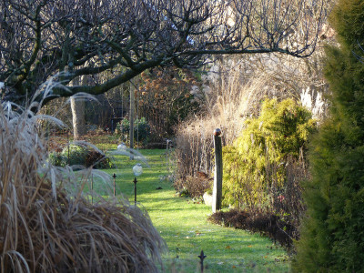 2020-12-30 Gartenimpressionen 8,.jpg