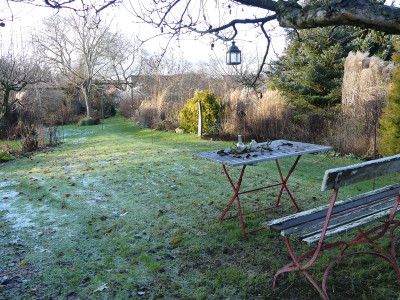 2020-12-30 Gartenimpressionen 9.jpg