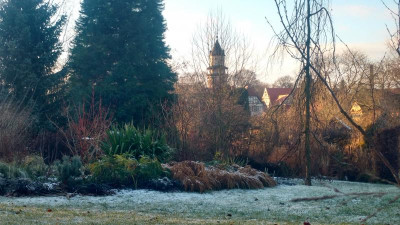 IMG_20201230_134220460_HDR.jpg