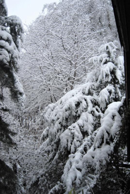 DSC_1878.JPG