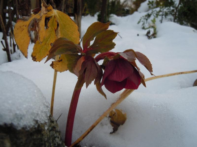DSCN9497.JPG