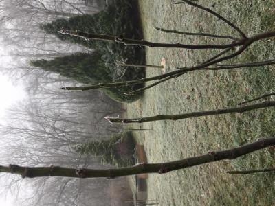 Perretta 1.1.21.JPG